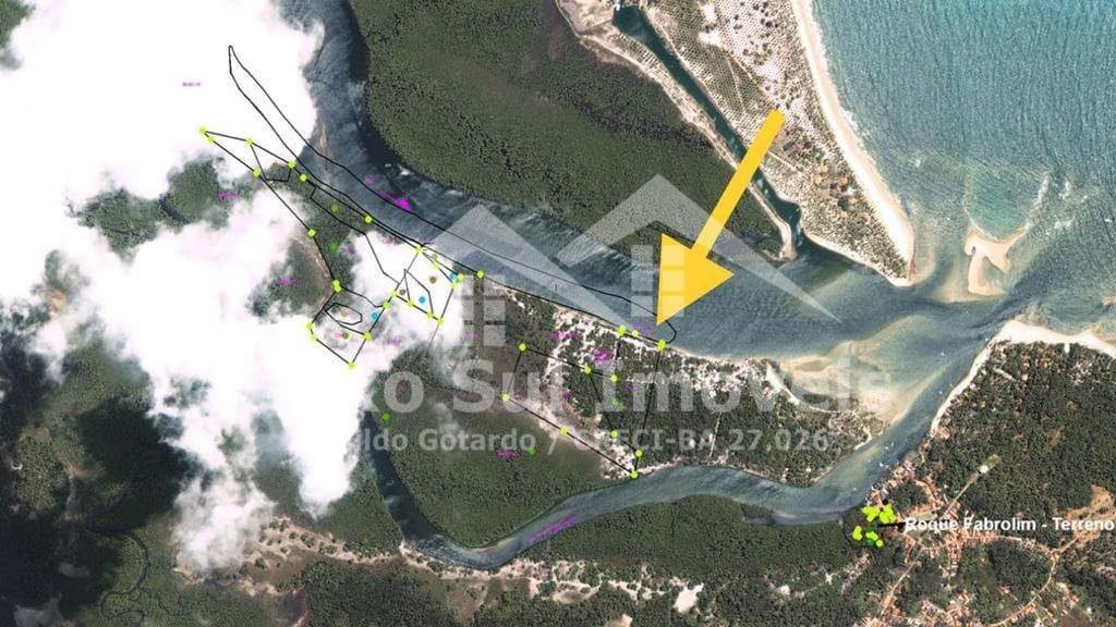 Grande terreno de 100.000m² com vegetação exuberante em Boipeba, Bahia.