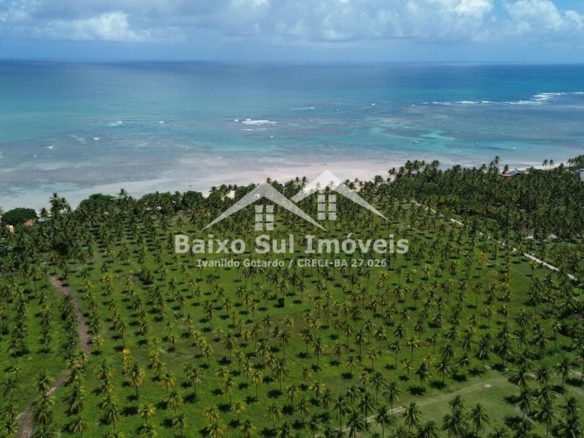Terreno à Venda em Morro de São Paulo - 100.000m² na Quarta Praia