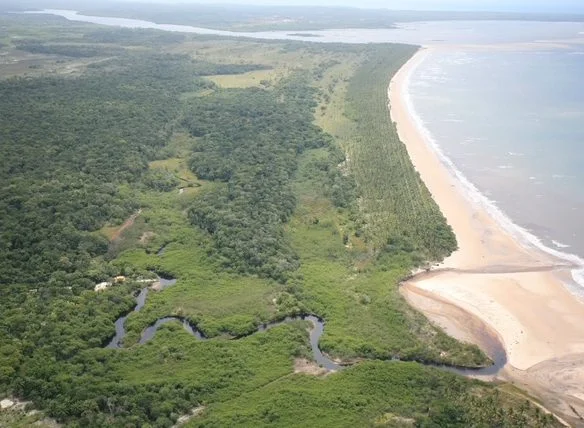 Pratigi Bahia investimento