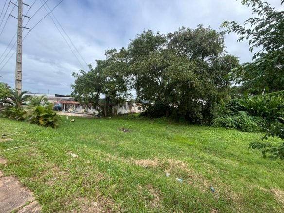 Terreno na Av ACM Valença BA: 1.350m² com 50m de Frente | Alta Visibilidade!